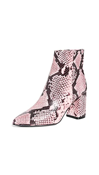 Shop Alice And Olivia Delanie Booties In Blossom