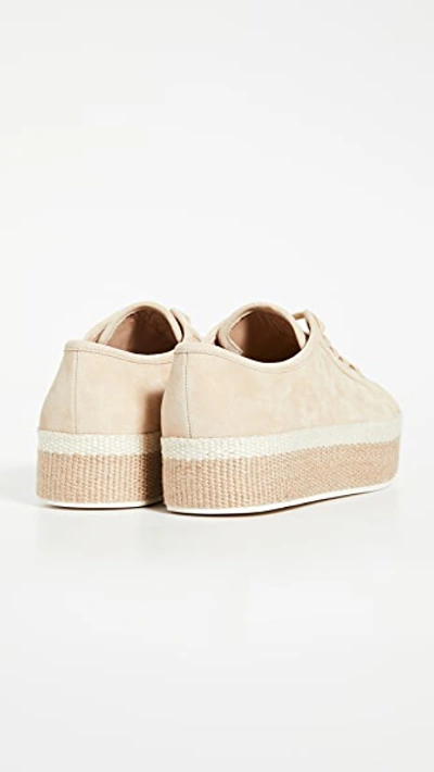 Shop Vince Windell Sneakers In Wheat