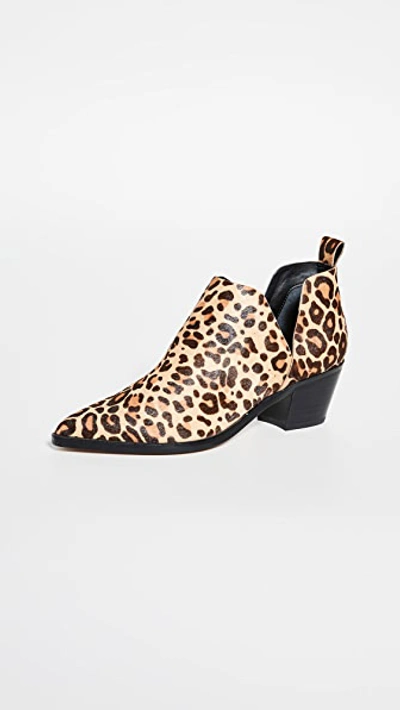 Shop Dolce Vita Sonni Block Heel Booties In Dark Leopard