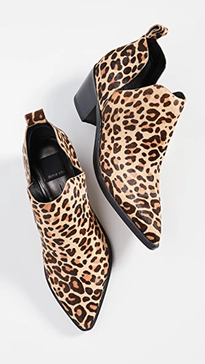 Shop Dolce Vita Sonni Block Heel Booties In Dark Leopard