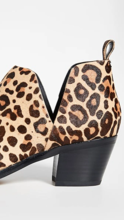 Shop Dolce Vita Sonni Block Heel Booties In Dark Leopard