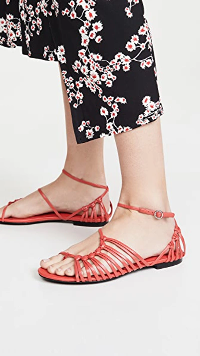 Shop 3.1 Phillip Lim / フィリップ リム Lily Flat Sandals In Corallo