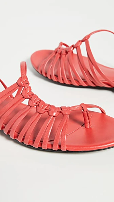 Shop 3.1 Phillip Lim / フィリップ リム Lily Flat Sandals In Corallo