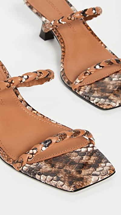 Shop Sigerson Morrison Abnel Sandals In Tan Multi
