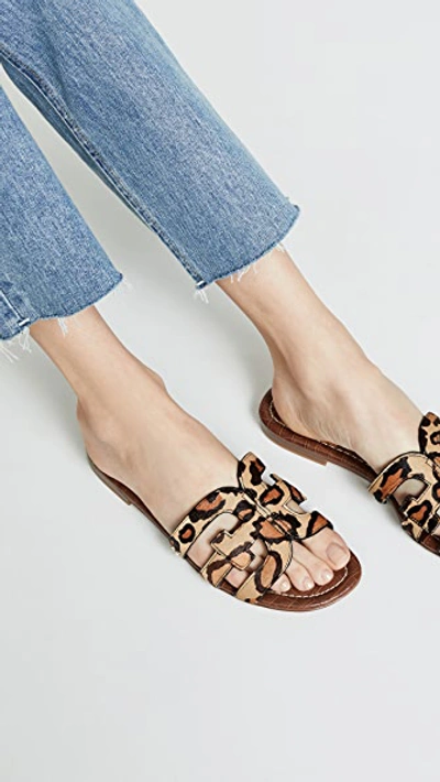 Shop Sam Edelman Bay Slides In New Nude Leopard