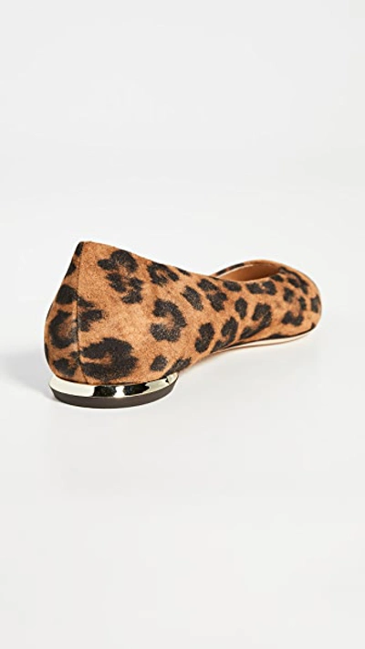 Shop Marion Parke Must Have Flats In Leopard