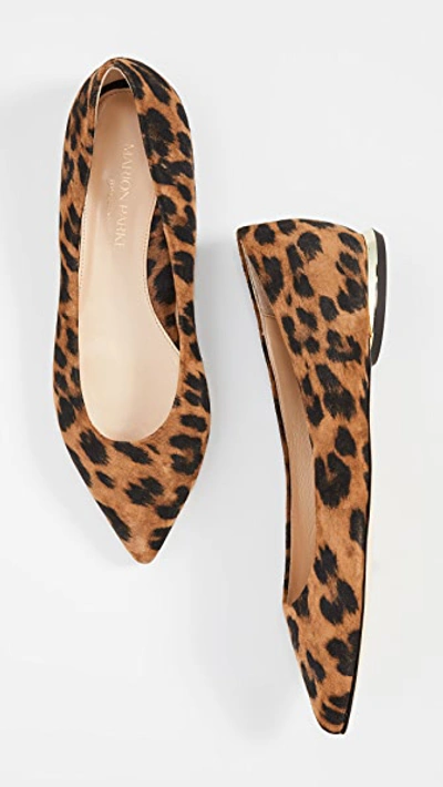 Must Have Flats