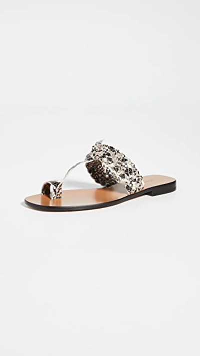 Shop Zimmermann Braided Sandals In Grey Snake