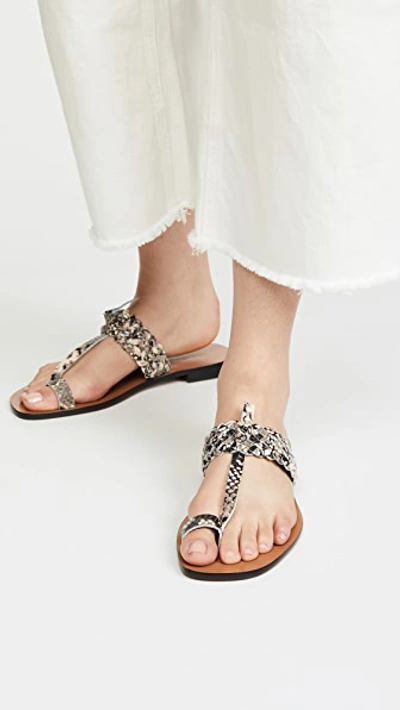 Shop Zimmermann Braided Sandals In Grey Snake