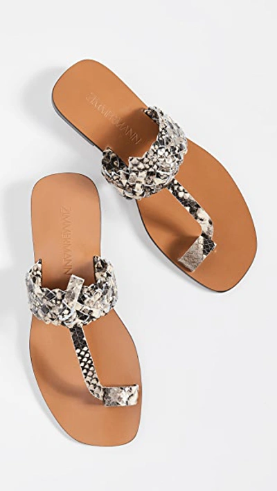 Shop Zimmermann Braided Sandals In Grey Snake