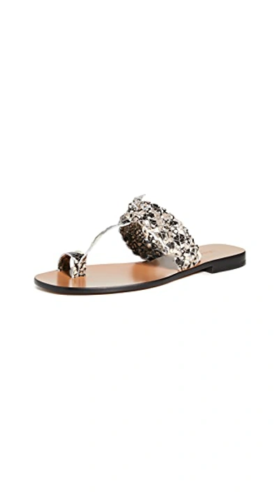 Shop Zimmermann Braided Sandals In Grey Snake