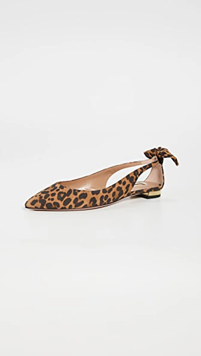 Shop Aquazzura Deneuve Ballet Flats In Sabbia