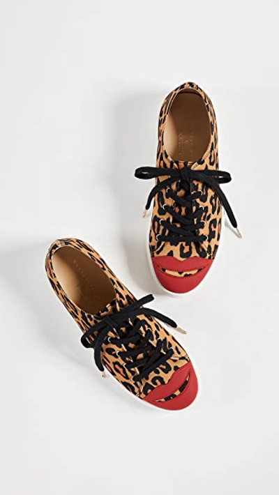 Shop Charlotte Olympia Kiss Me Sneakers In Leopard