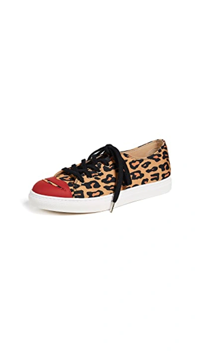 Shop Charlotte Olympia Kiss Me Sneakers In Leopard