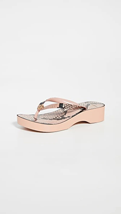 Shop Tory Burch Printed Cutout Wedge Flip Flop In Blush Roccia