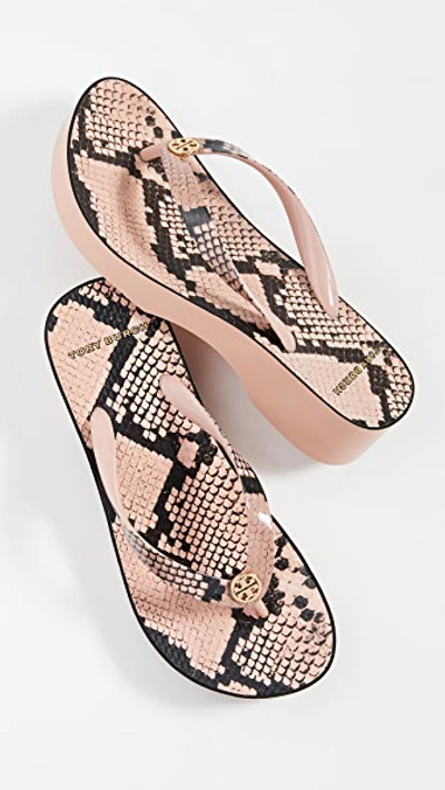 Shop Tory Burch Printed Cutout Wedge Flip Flop In Blush Roccia