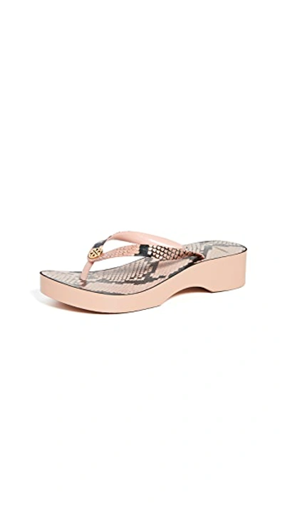 Shop Tory Burch Printed Cutout Wedge Flip Flop In Blush Roccia