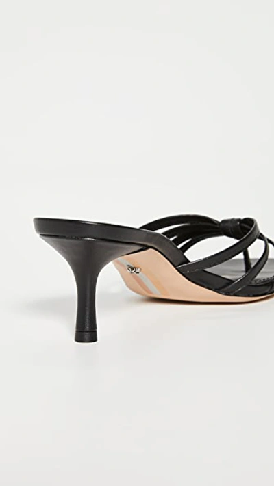 Shop Sam Edelman Jedda Slides In Black