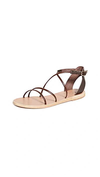 Shop Ancient Greek Sandals Meloivia Sandals In T-moro