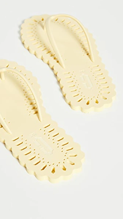 Shop Carlotha Ray Laser Cut Flip Flops In Souffle De Soleil