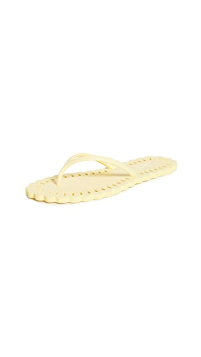 Shop Carlotha Ray Laser Cut Flip Flops In Souffle De Soleil