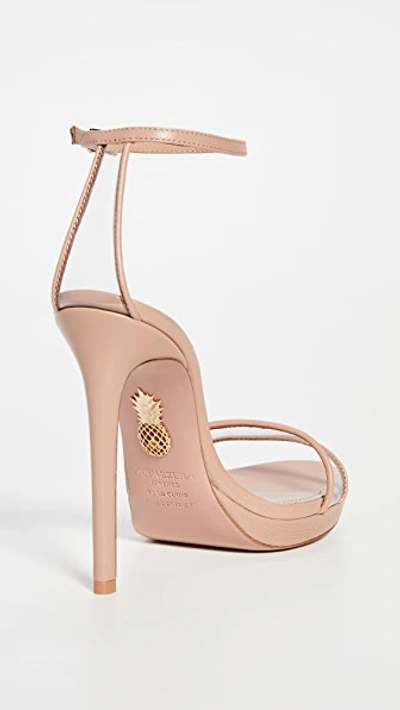 Shop Aquazzura Minimalist 115mm Sandals In Powder Pink