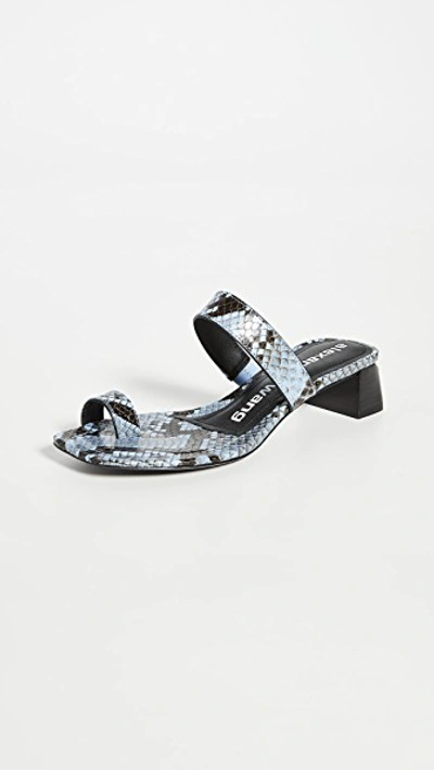 Shop Alexander Wang Ellis Slides In Periwinkle