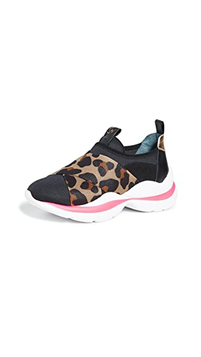 Shop Sophia Webster Wavy Sneakers In Black/leopard