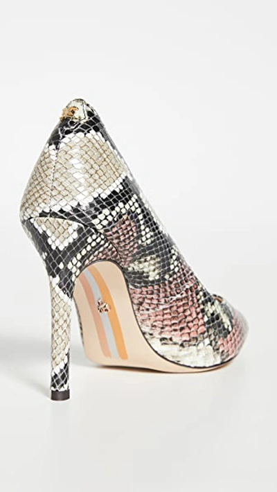 Shop Sam Edelman Hazel Pumps In Pink/multi