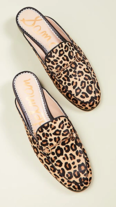 Shop Sam Edelman Linnie Mules In Mini Leopard