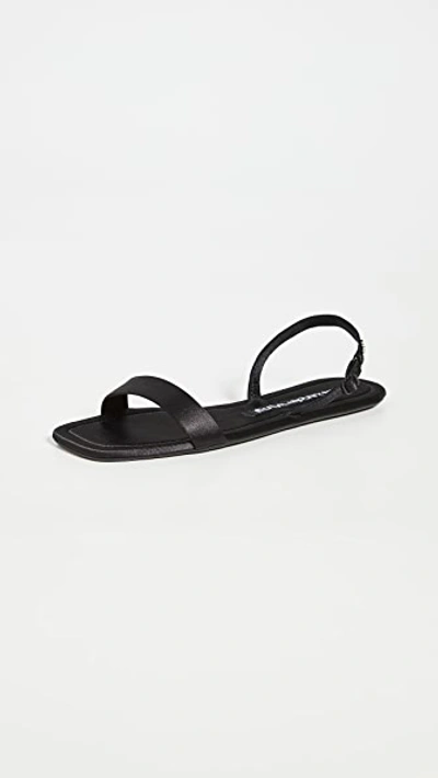 Shop Alexander Wang Ryder Sandals In Black