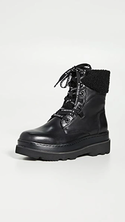 Shop Ash Siberia Boots In Black