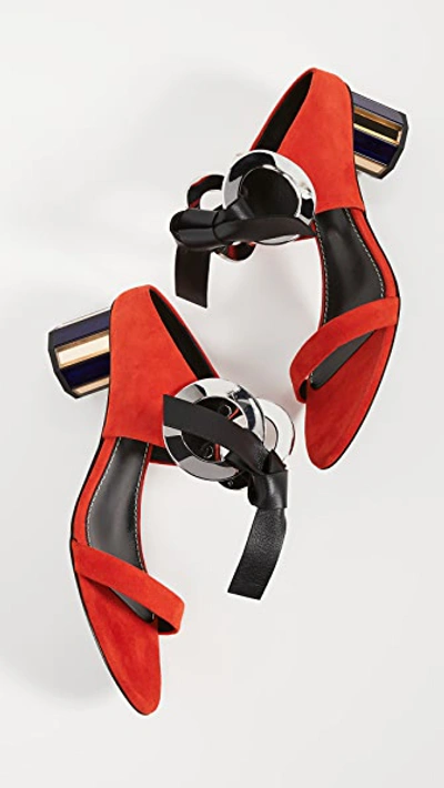 Shop Proenza Schouler Front Tie Mule Sandals In Red