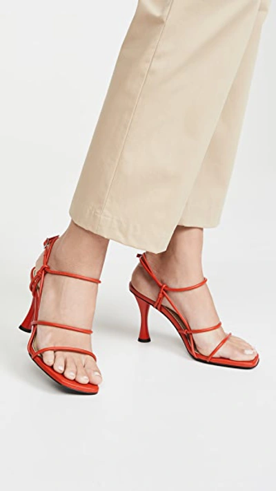 Strappy Sandals