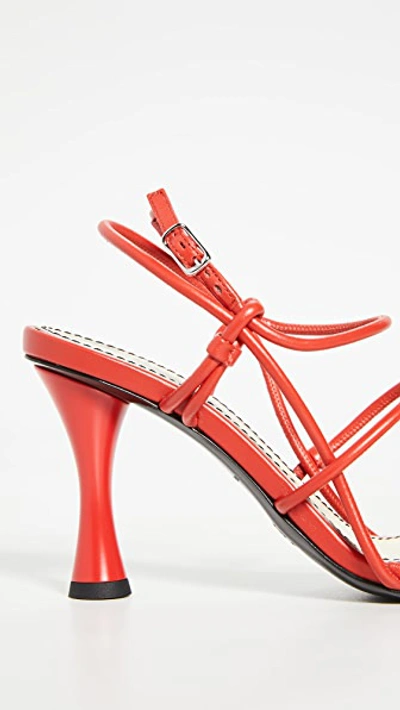 Shop Proenza Schouler Strappy Sandals In Fiesta