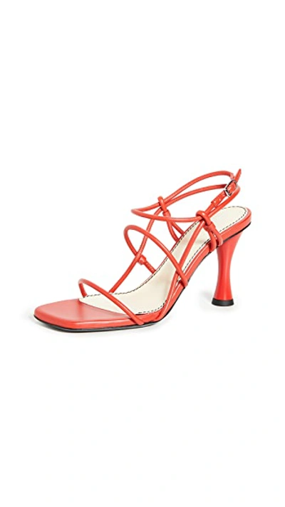 Shop Proenza Schouler Strappy Sandals In Fiesta