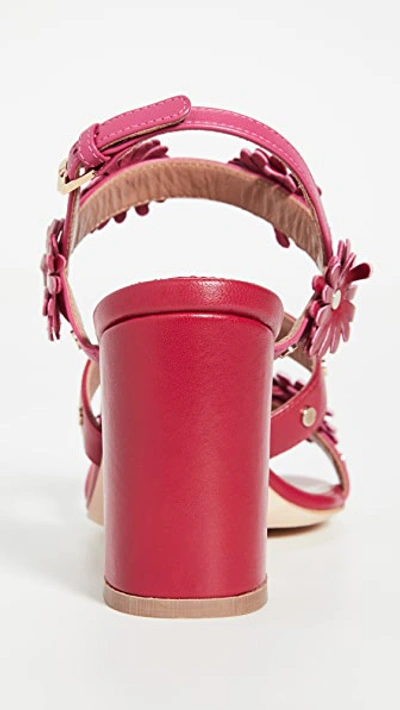 Shop Laurence Dacade Valance Sandals In Red/fuchsia