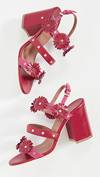 Shop Laurence Dacade Valance Sandals In Red/fuchsia