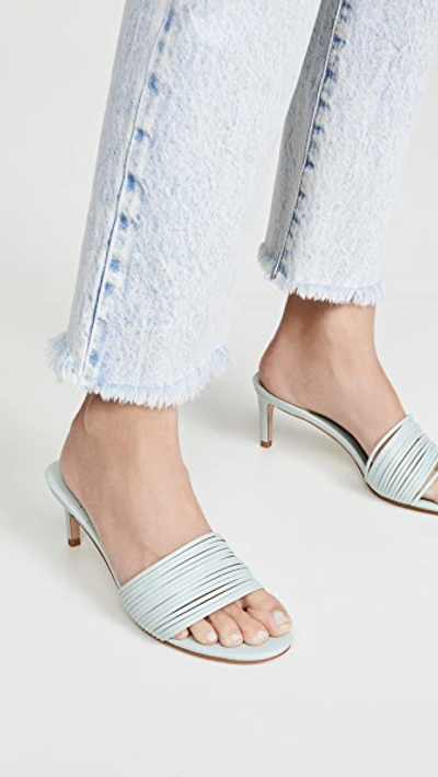Shop Jeffrey Campbell Kacey Mules In Baby Blue