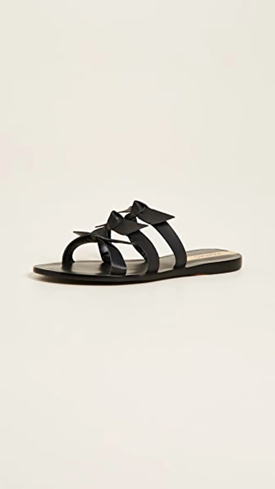 Shop Kaanas Recife Bow Sandals In Black