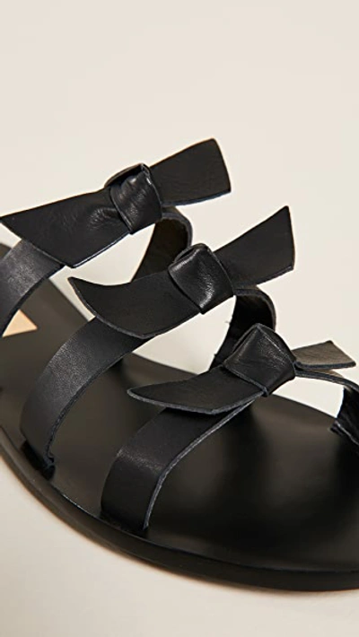 Shop Kaanas Recife Bow Sandals In Black
