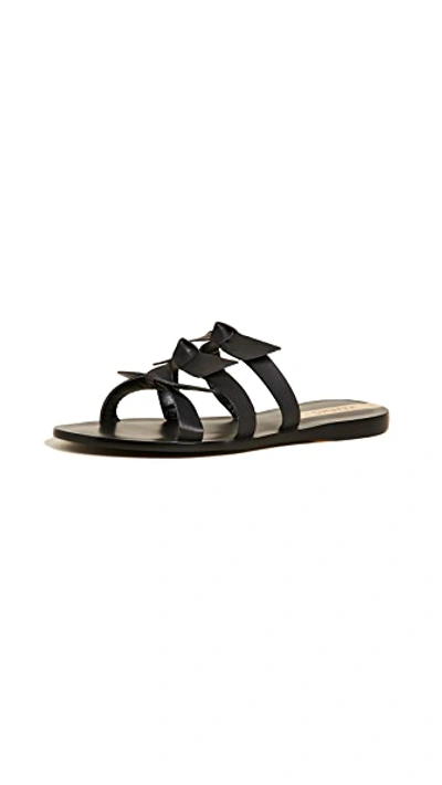 Shop Kaanas Recife Bow Sandals In Black