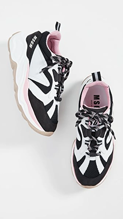 Shop Msgm Chunky Sneakers In Black