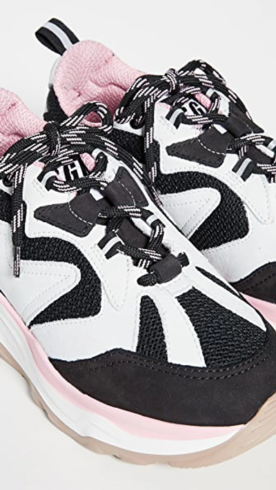 Shop Msgm Chunky Sneakers In Black