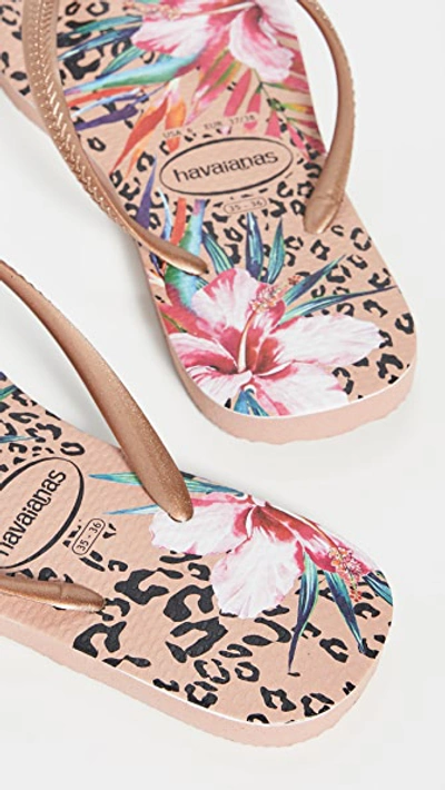 Havaianas Slim Animal Floral Flip Flops In Crocus Rose