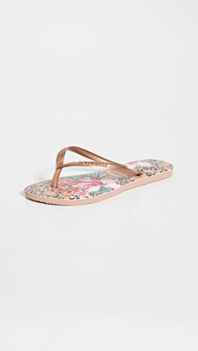 Havaianas Slim Animal Floral Flip Flops In Crocus Rose