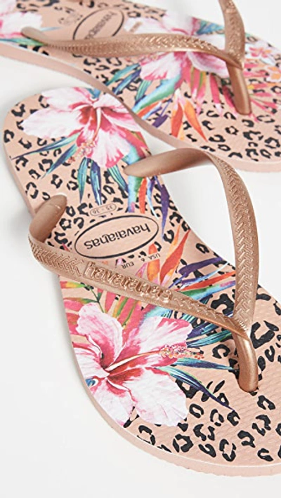 Havaianas Slim Animal Floral Flip Flops In Crocus Rose