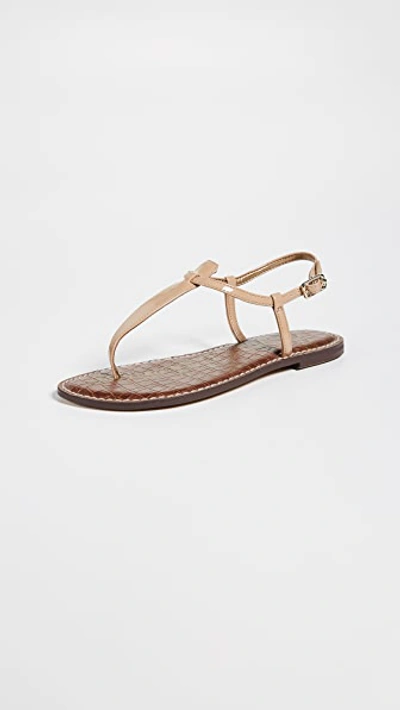 Shop Sam Edelman Gigi Patent T Strap Sandals In Almond