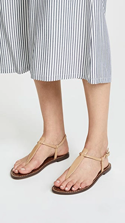 Shop Sam Edelman Gigi Patent T Strap Sandals In Almond