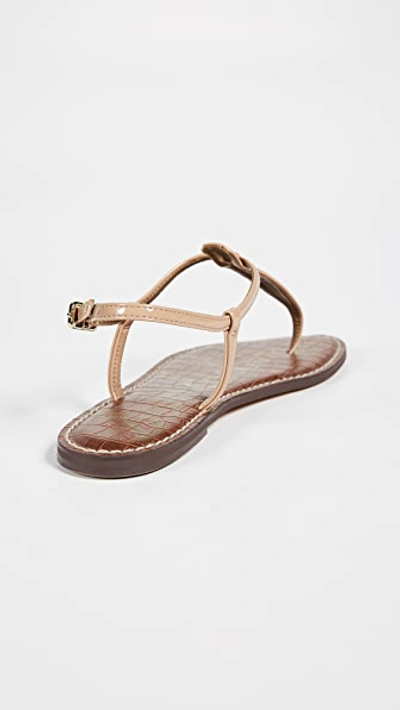 Shop Sam Edelman Gigi Patent T Strap Sandals In Almond